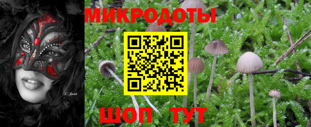 Псилоцибиновые грибы GOLDEN TEACHER  Вход с VPN  Ишимбай 